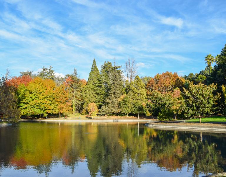Lakes in fall